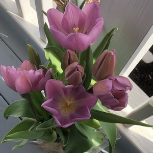 Meet your Posher, Nancy